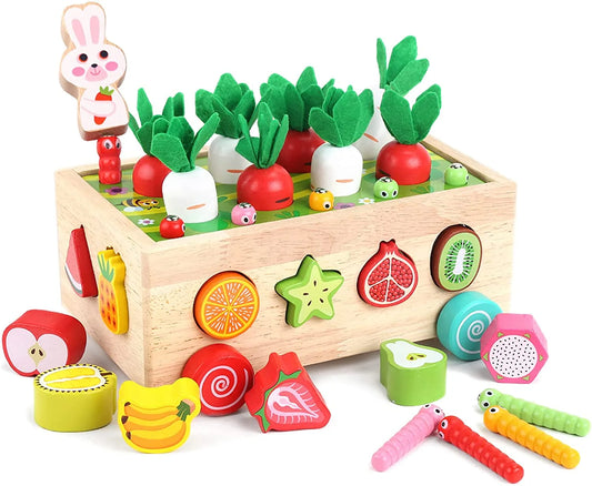 Montessori Garden Shape Sorters