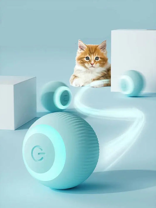 Elektrisches Katzen-Rollballspielzeug