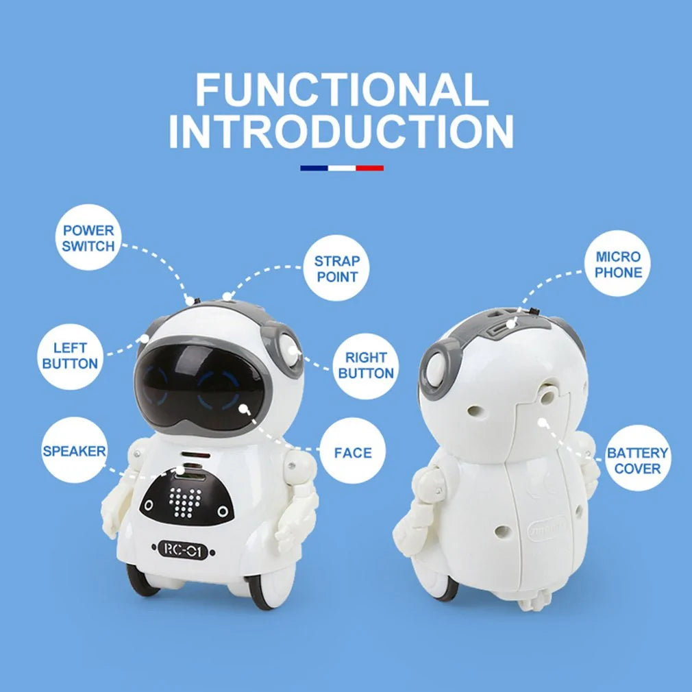 Mini Robot Talking Walking Voice Recognition