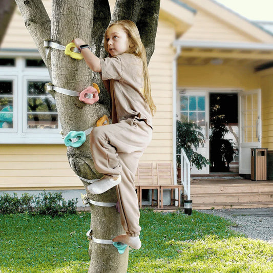 Kids' Backyard Rockclimbing Kit.