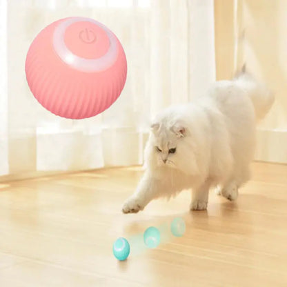 Elektrisches Katzen-Rollballspielzeug