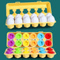 Montessori Toy Matching Eggs